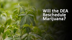 DCMJ Says White House Meeting Was Good First Step; But Legalization Group Seeks Higher-Level Sit Down