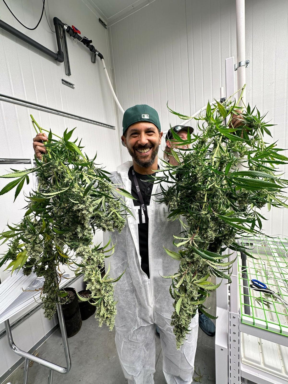 Cultivating compassion, collaboration, and cannabis in Caroline - Blvck Mrkt Official