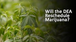 DCMJ Says White House Meeting Was Good First Step; But Legalization Group Seeks Higher-Level Sit Down - Blvck Mrkt Official