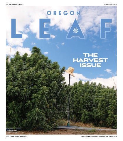 Northwest Leaf / Oregon Leaf / Alaska Leaf / Maryland Leaf / California Leaf / Northeast Leaf - Blvck Mrkt Official