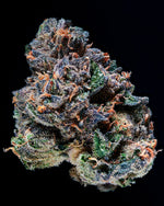 BlVCK Runtz craft cannabis flower – hand-trimmed indoor grown by Blvck Mrkt Maryland