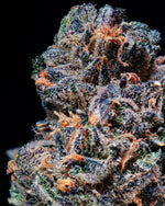 BlVCK Runtz craft cannabis flower – hand-trimmed indoor grown by Blvck Mrkt Maryland