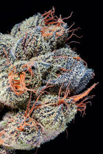 Charm Biscuits craft cannabis flower – hand-trimmed indoor grown by Blvck Mrkt Maryland