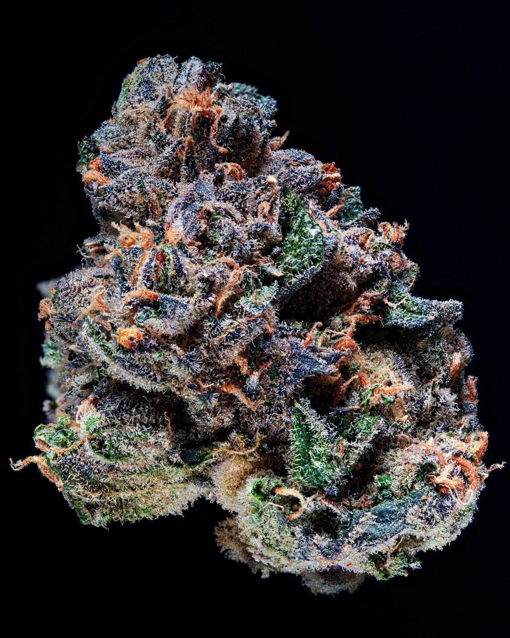 BlVCK Runtz - Blvck Mrkt Official